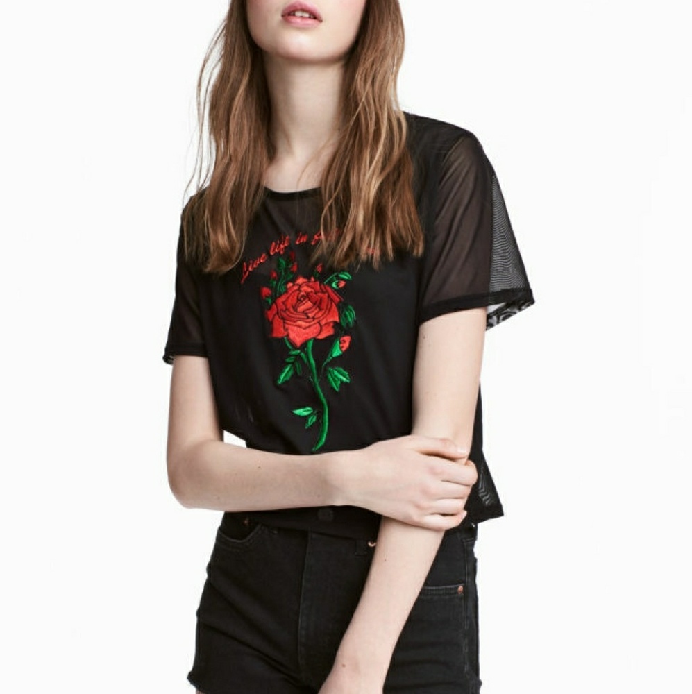 Sheer Rose Mesh Top